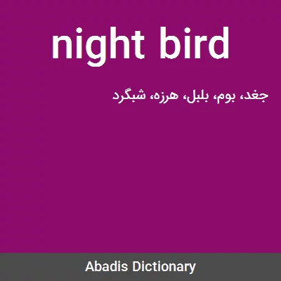 معنی night bird